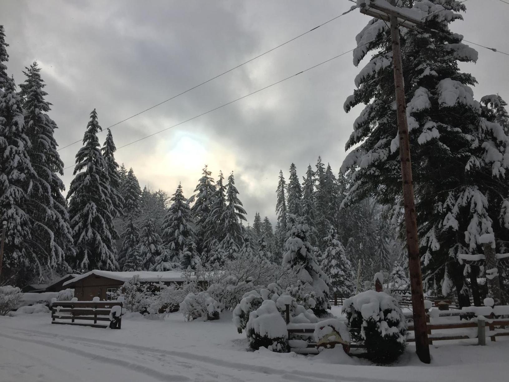 Bear'S Den Hideaway With Hot Tub Villa Ashford Bagian luar foto