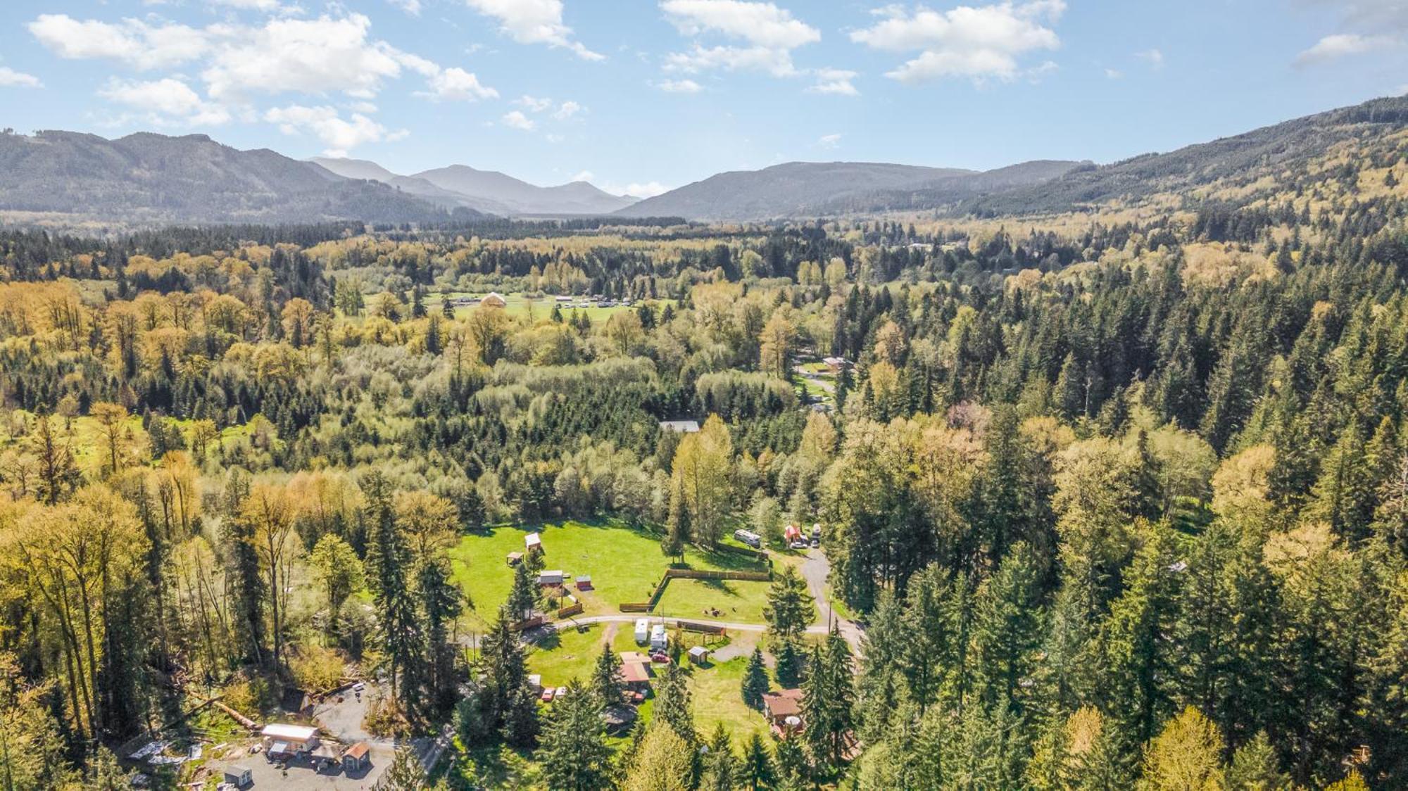 Bear'S Den Hideaway With Hot Tub Villa Ashford Bagian luar foto